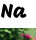 Na